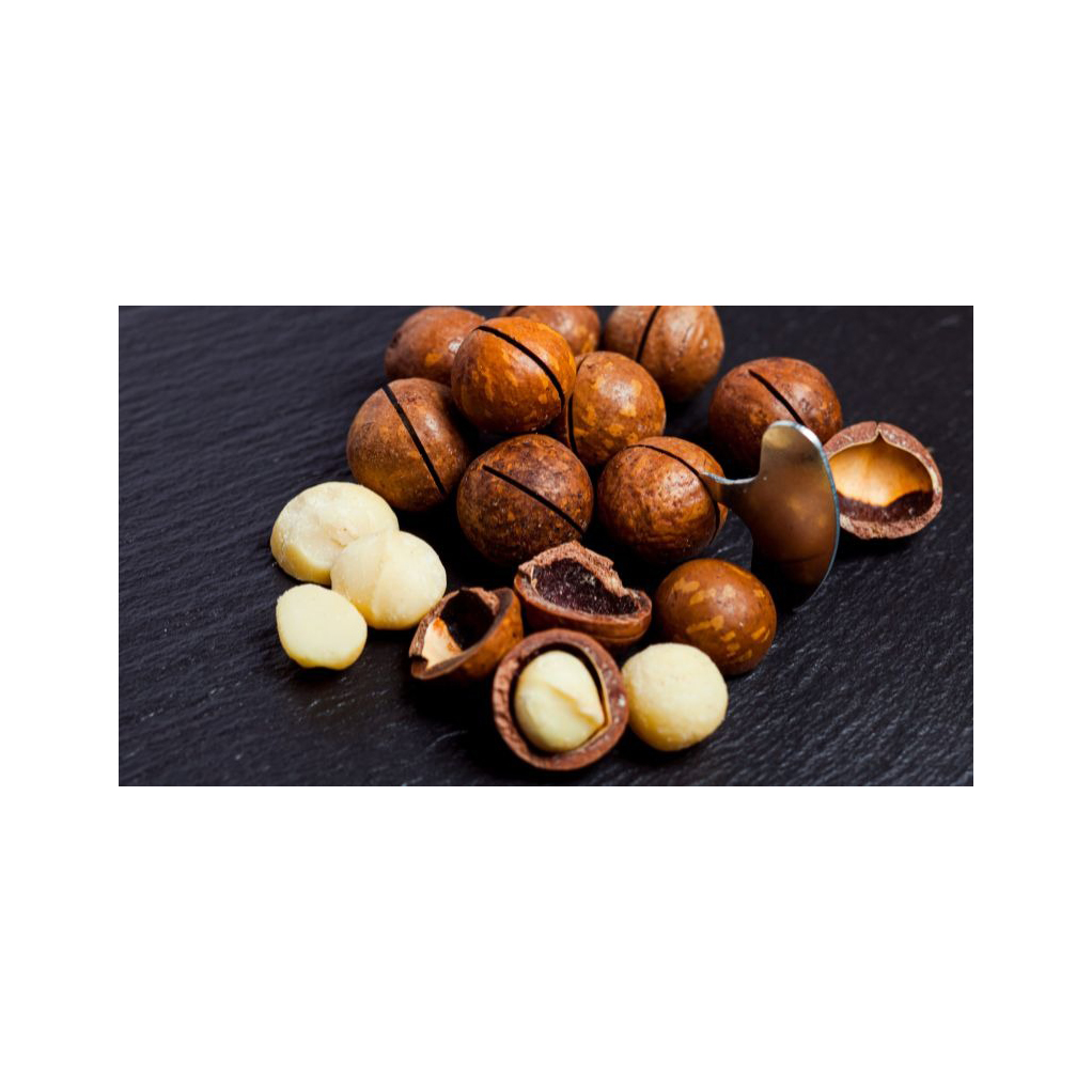Raw shea nuts available in bulk - Image 2