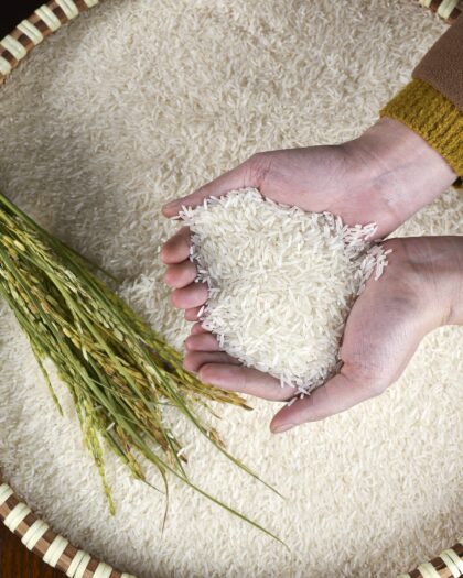 JASMINE RICE PERFUMED FRAGRANT AROMATIC LONG GRAIN RICE