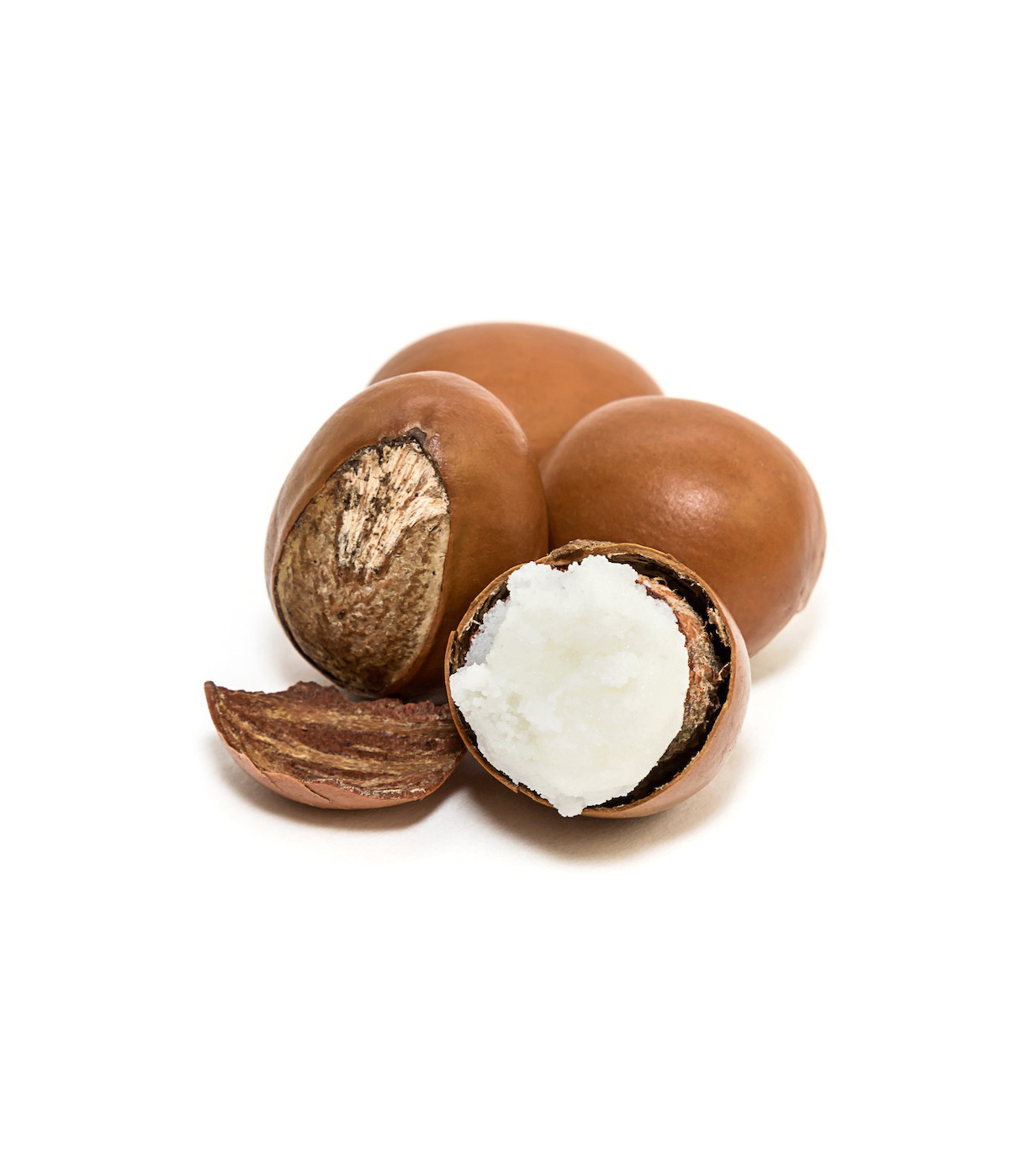 Raw shea nuts available in bulk